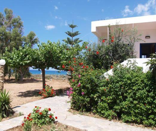 Fragkokastello Star Διαμέρισμα Φραγκοκάστελλο Εξωτερικό φωτογραφία